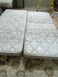 دوشك ابو نفرين • بردات