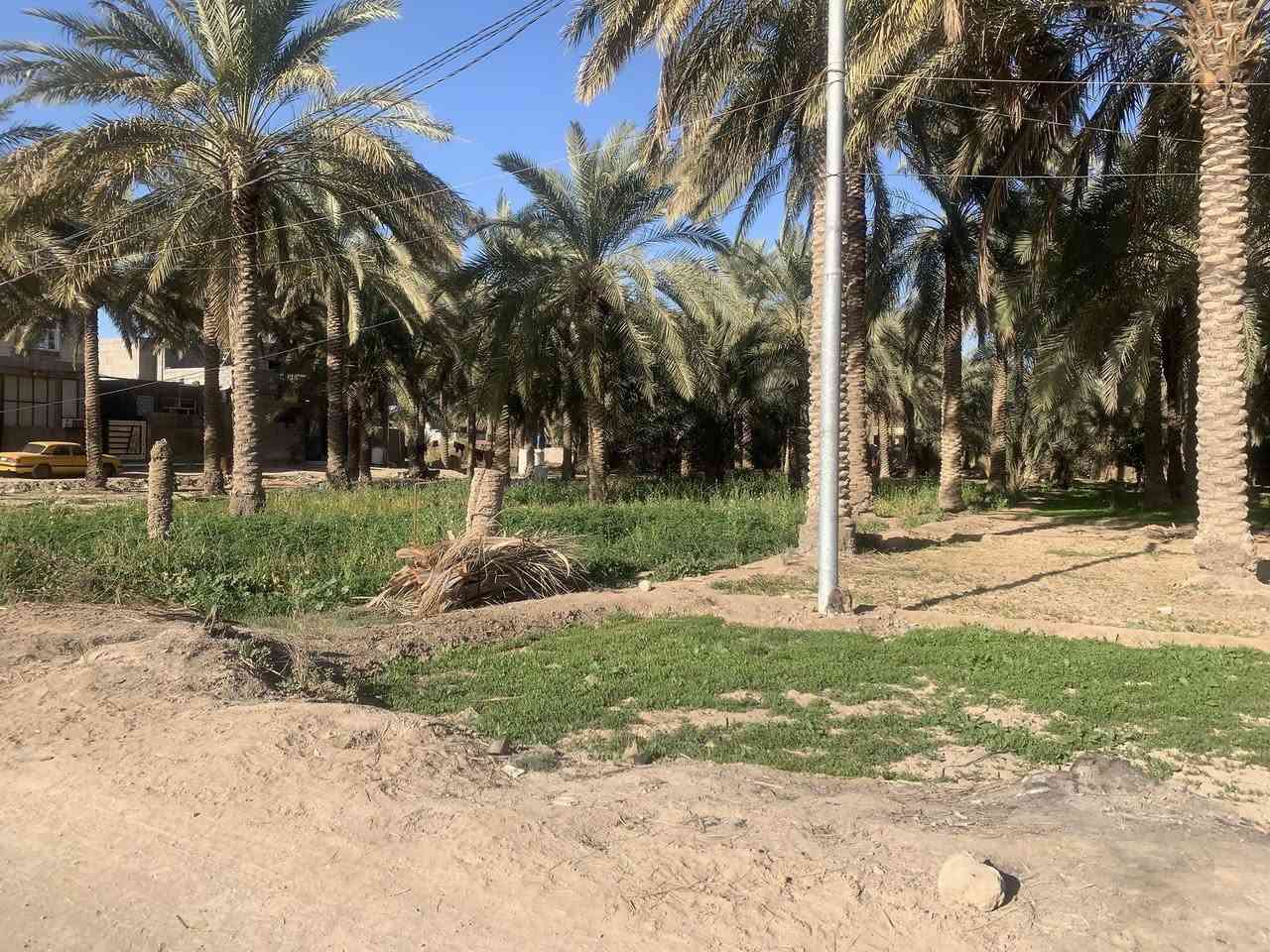 السلام عليكم يوجد قطعه ارض اكثر من نصف دونم واجهيه 18متر ونزالها 74على شارع جماليه قرب مجمع الرحمان السياحي سعر 220مليون وبيها مجال ***********
