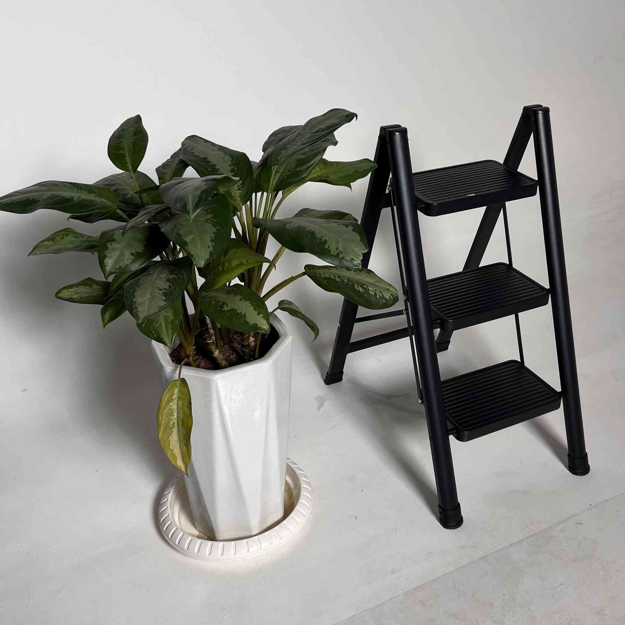 درج تلث بايات ب 30 الف والتوصيل مجاني


**إذا كنت صاحب هذا الإعلان وتريد حذفه لأي سبب، رجاءا أرسل رسالة إلى الدعم الفني**