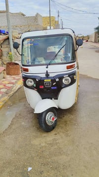 تكتك • المجر الكبير • كفالة عامة