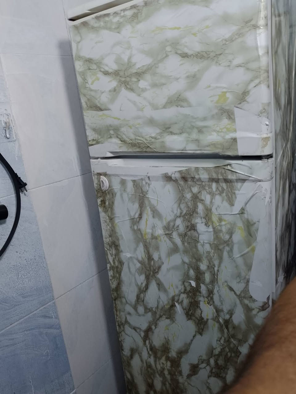 ثلاجه حجم 12 شغاله وتجمد كلشي ما بيها بدون قاعدة السعر 60 الف مكاني الايمن


**إذا كنت صاحب هذا الإعلان وتريد حذفه لأي سبب، رجاءا أرسل رسالة إلى الدعم الفني**