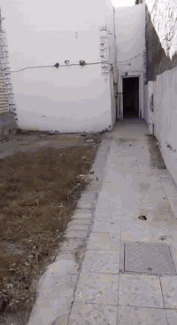 بيت للايجار • ١٠٠م • حي الوفاء