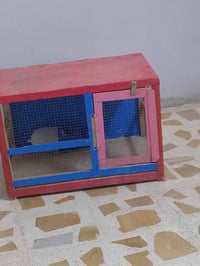 قفص طيور • موصل • نينوى