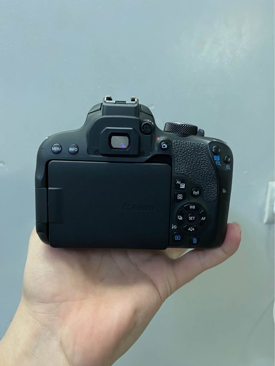 للبيع كامرا كانون 800D الحديثة شاشة لمس قلاب واي فاي +بلوتوث نضافه 100% كارتونه 
            دقه وسلاسه وسرعه✨
ملحقات 
عدسة 18-55 استبلايزر مانع اهتزاز الحديثه
شاحنة 
بطاريه 
حزام 
كارتونه
السعر 600 الف وبي مجال 
مكان بغداد البنوك 
لايوجد توصيل بغداد, العراق


**إذا كنت صاحب هذا الإعلان وتريد حذفه لأي سبب، رجاءا أرسل رسالة إلى الدعم الفني**