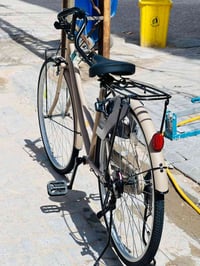 باسكل • صحراوي • نجف العدالة