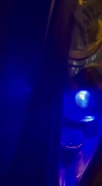 ماكس منغولي • معدل فول • ٢٠يوم