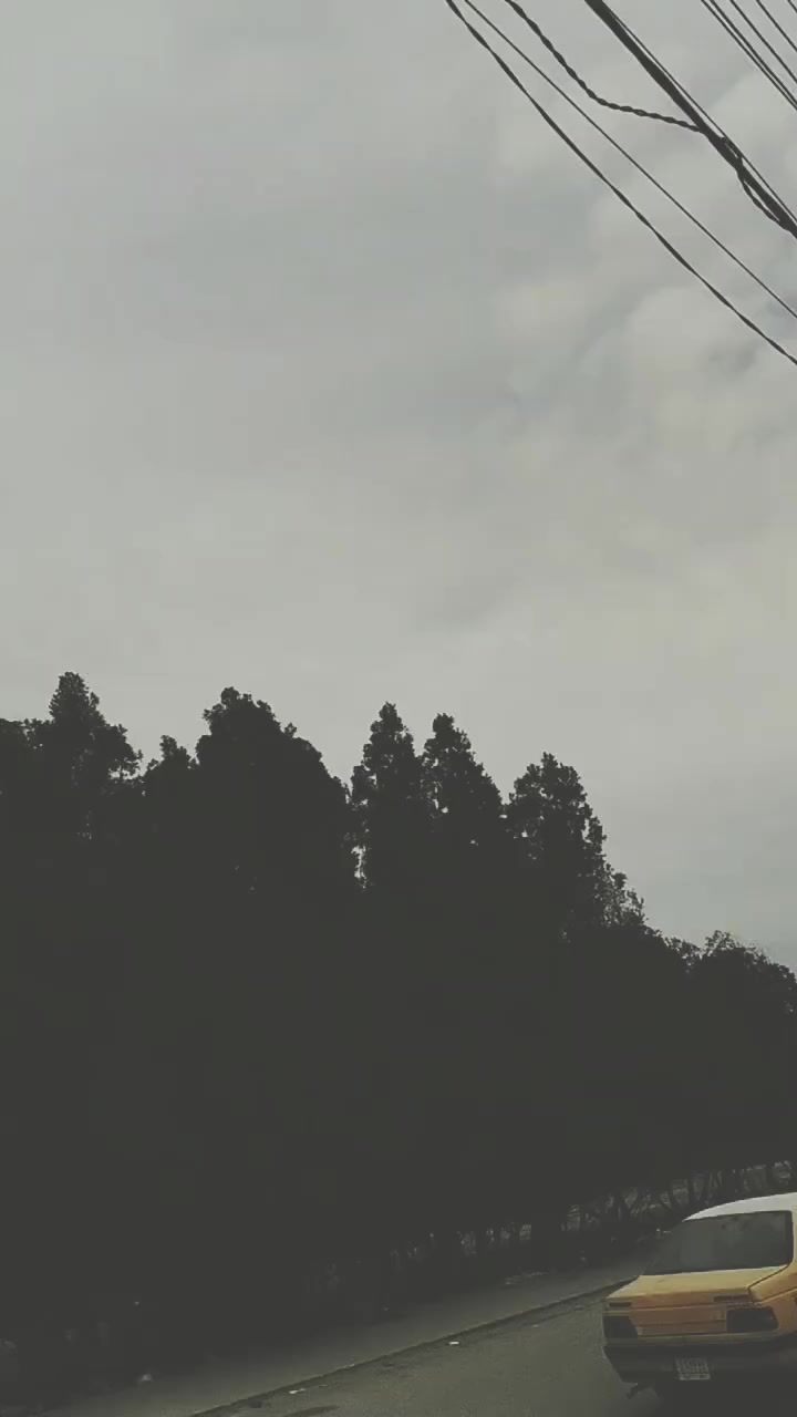 ستوته ام تي ار رقم اسود بس راعيه ما اندله سعره مليون 100مكينه جديده غير ال بل صوره


**إذا كنت صاحب هذا الإعلان وتريد حذفه لأي سبب، رجاءا أرسل رسالة إلى الدعم الفني**