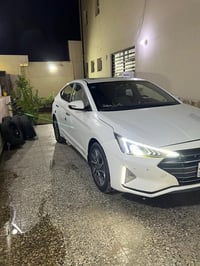 النترا ٢٠١٩ • خليجي • بدون صبغ