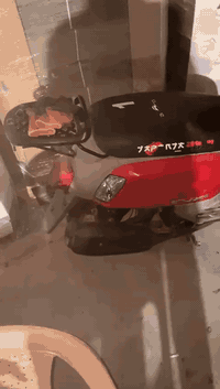 سلام عليكم ماكس بوليسي   مسطره للبيع بواحد١٥٠ الدراجه خير من الله كامله كفاله عامه ختم واحدموديل ٢٠١٢الرقم***********مكاني بصره٥خمسه ميل
