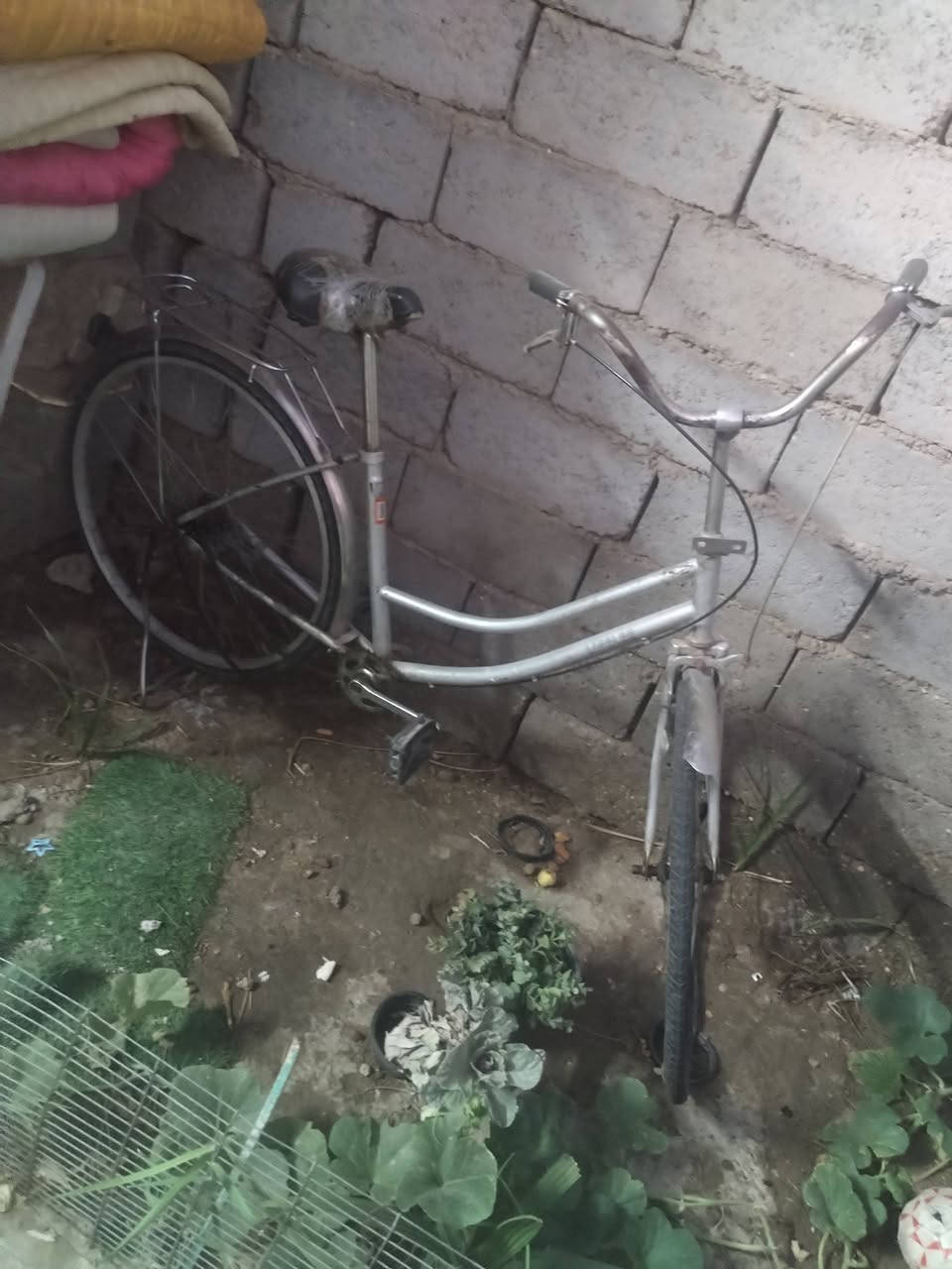للبيع في حي التراث البياع


**إذا كنت صاحب هذا الإعلان وتريد حذفه لأي سبب، رجاءا أرسل رسالة إلى الدعم الفني**