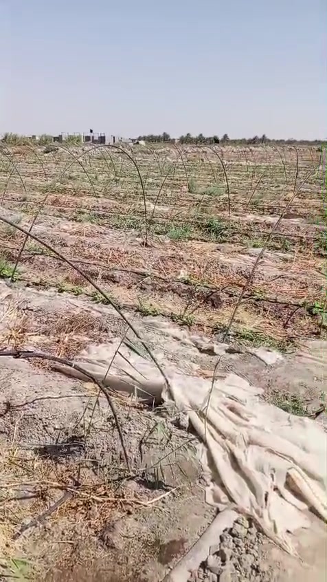 للبيع شيش الحجم ابو النص الطول ٦ متر السعر ٥٠٠ الف مكان قضاء_المدينة ***********
