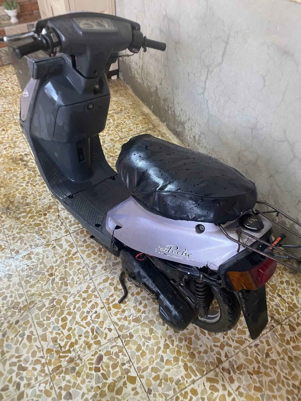 ماطور بدون ، سله
سعر 150 وبي مجال بسيط ، قطع بصونده الكابريتا ، يعني سهله


**إذا كنت صاحب هذا الإعلان وتريد حذفه لأي سبب، رجاءا أرسل رسالة إلى الدعم الفني**