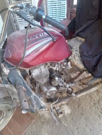 ستوته دايون 2020 • ابودشير • شغالة