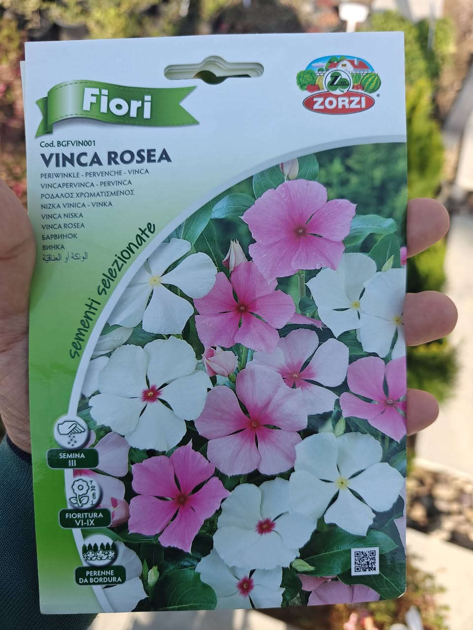 بذور الزهور الصيفية🌸 🏵️🌷
السعر 1250 للمغلف الواحد

زورونا في فروعنا 
📍الفلوجة - شارع 40 - مقابل سنتر ملامح
  الفلوجة - السوق العصري 
✔️ خدمة توصيل إلى كافة المحافظات 🚚
***********

#نباتات #نباتات_منزلية #نباتات_طبيعيه #نباتات_ظل⁩
