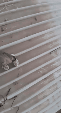 غرفه سندويش ٤ *٤ ارتفاع ٣متر
الغرفه جديده استخدام شهرين سندويش الثقيل
بغداد الدوره ابو دشير
الاستفسار ***********
