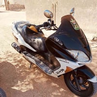 فورزة • شغاله • دون اوراق