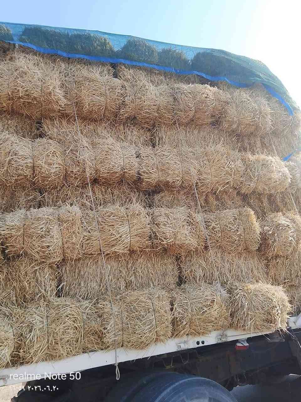 تبن البيع 1850 واصل


**إذا كنت صاحب هذا الإعلان وتريد حذفه لأي سبب، رجاءا أرسل رسالة إلى الدعم الفني**