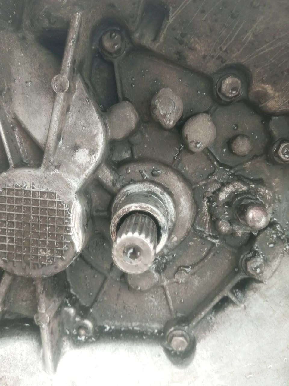 السلام عليكم
كير جلي ام كي للبيع 

بيه ثاني من تلح عليه يفلت
كير جديد
عنون ناصريه 
***********
