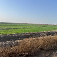 ارض زراعيه للبيع تفاصيل اتصال ع رقم هاتف 07889587332