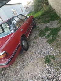 موديل ٨٥ • رقم صلاح الدين • بدون صبغ