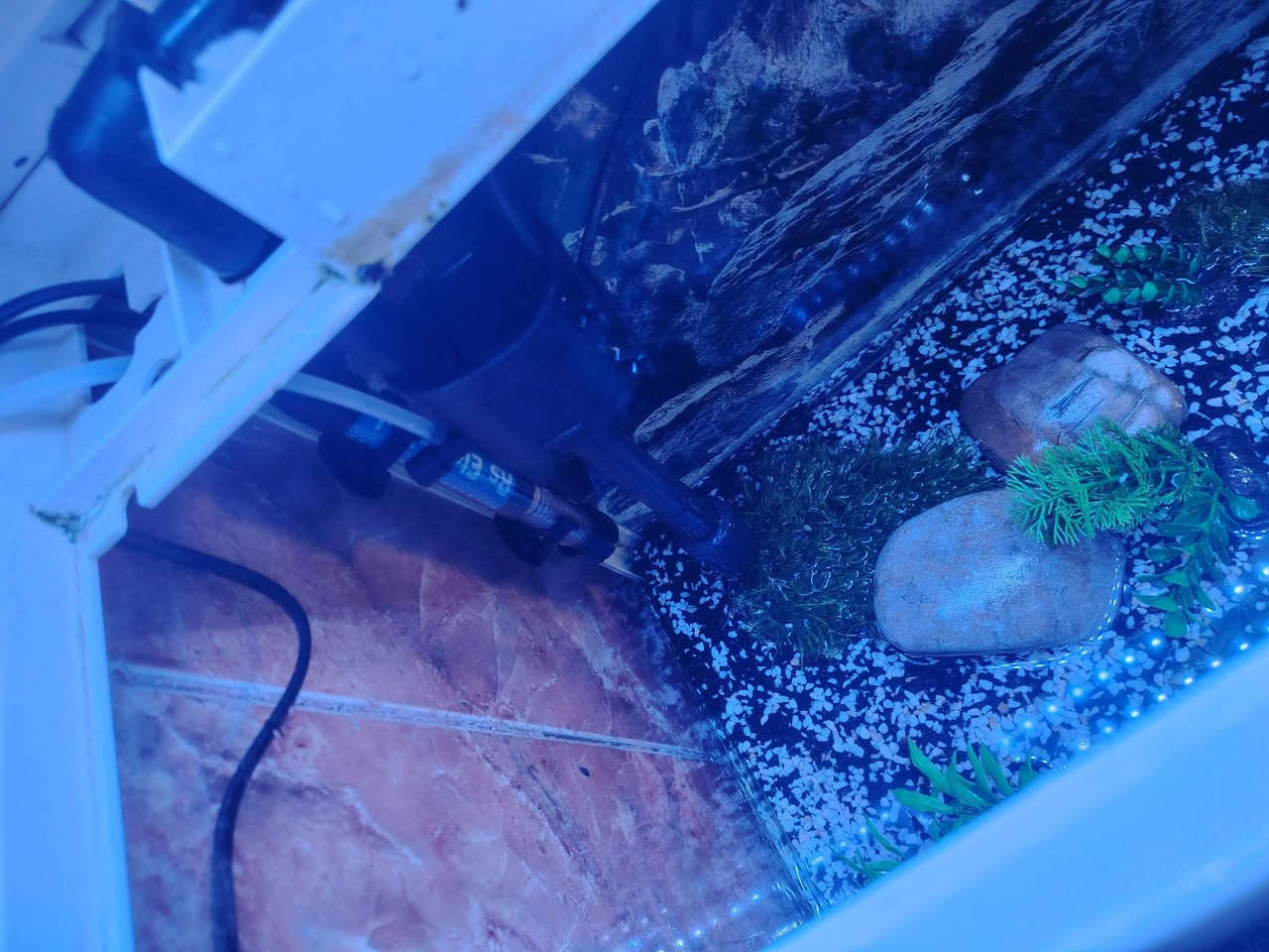 متاح حوض سمك صيني جاهز فلتر سقفي محرار مع كافة التجهيزات يحتاج فقط سمك القياس 40 سم السعر خاص


**إذا كنت صاحب هذا الإعلان وتريد حذفه لأي سبب، رجاءا أرسل رسالة إلى الدعم الفني**