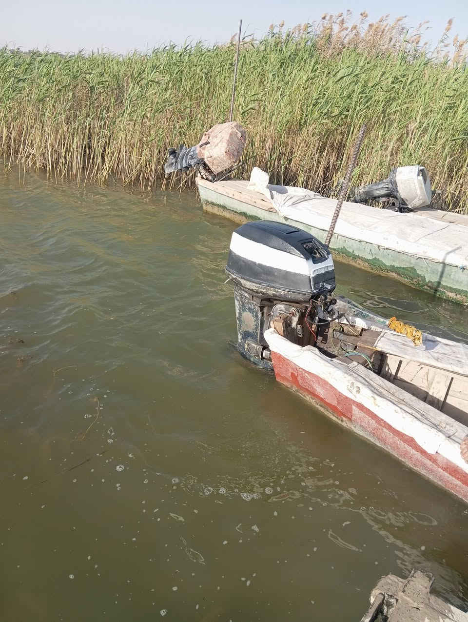 ***********السلام عليكم مكينه ياماها 48 للبيع السعر 700 مراوس الراوس بيع نبيع وشراء يجينا واحنا بخدمته
