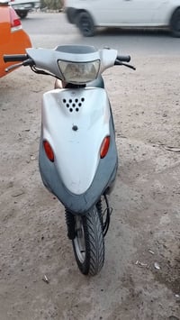 لبيع درجة بيجي فحل مكفولة المكان السماوة الشراري يتصل 07848583029