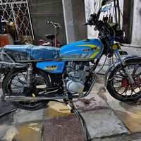 موديل ٢٤ • أوراق كاملة • نقوصات خفيفة