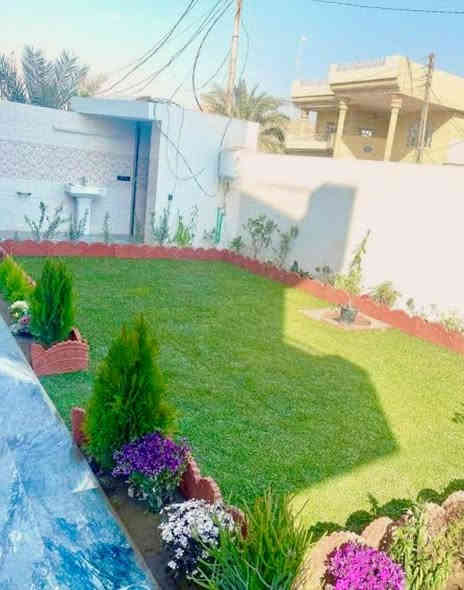 السلام عليكم ورحمه الله وبركاته

كادر الفلاح  ابو سعد 

من محافضه السماوه 
نعمل في مجال الحدائق عامةً
تأهيل وأعاده نشاط الحدائق الميته والملوثه بالحشرات

فرش ثيل 🌿

شتل انواع الأشجار الزينه والمثمره🌲

 شتل انواع الورود 🌺🥀.

النخل شتل / قلع 🌴

ذوي خبره في مجالات مبيد الحشرات🐜 والعلاجات

للاتصال عبر رقم الهاتف  ***********

الاتصال عبر الواتساب  ***********
