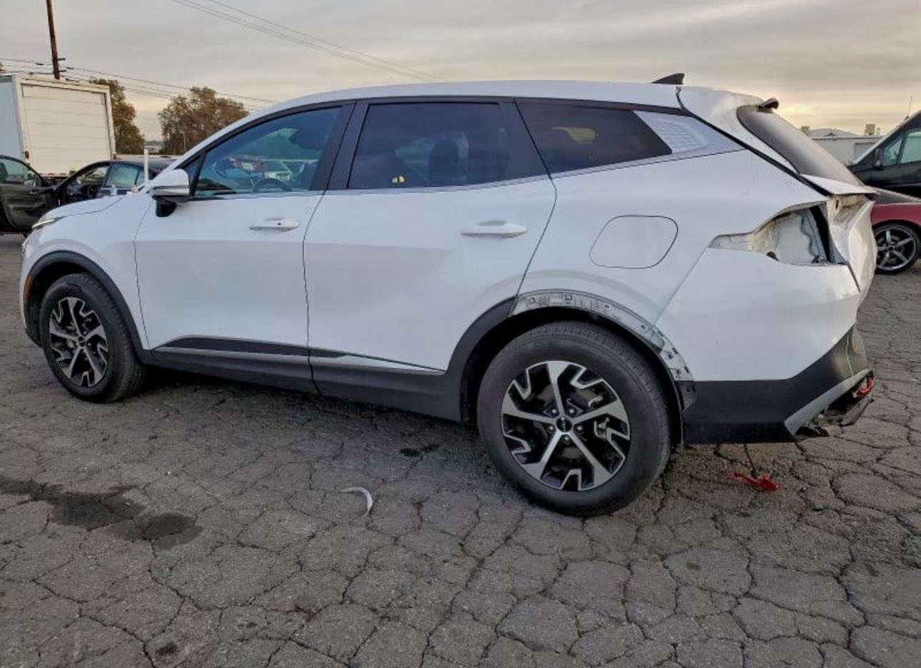 كيا سبورتج EX
موديل 2024
مزادها : 5/1/2026
للاستفسار : ***********
