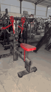 متوفر نشر جالس فري ويت جم 80 اصلي 
*********** مخازن ارسنل
