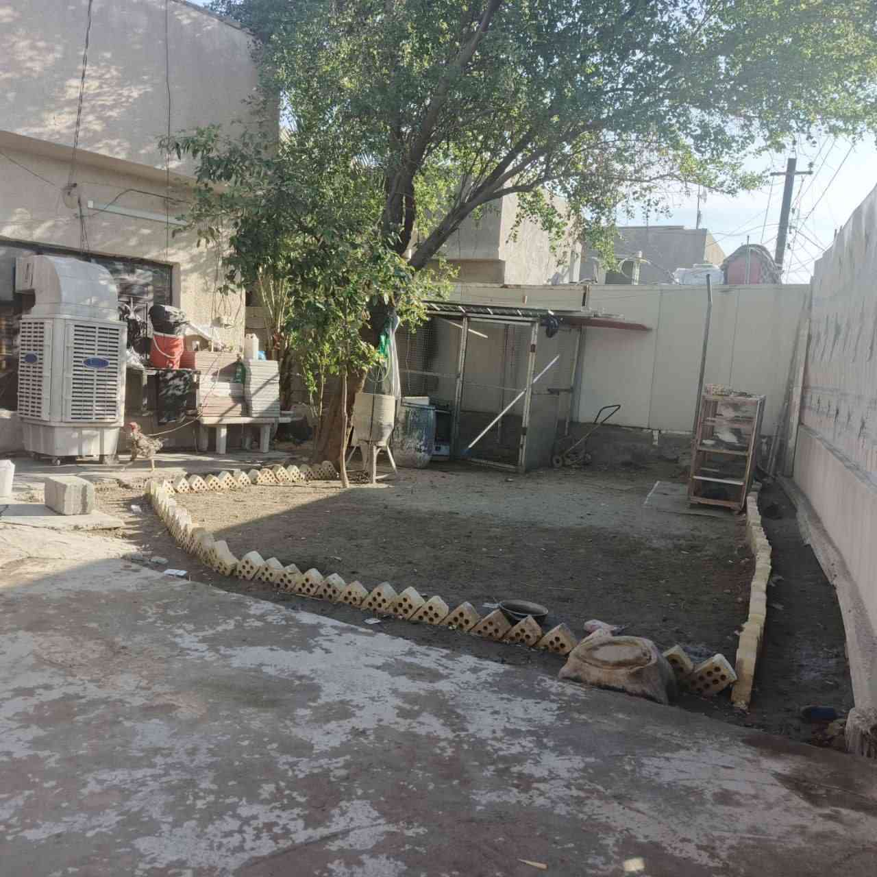 دار طابو زراعي سند 25 للبيع المساحه 320 م مع كراج كبير الموقع بجانب منطقه ابو دشير مقابل علوة الرشيد يحتوي علئ اربع غرف نوم واستقبال ضيوف كبير طوله 8امتار ومطبخ وحولي وكافه الخدمات علماً ان المنطقة تحتوي علئ مجاري وكهرباء عرض الفرع 10 امتار للاستفسار الاتصال على الرقم ***********.
