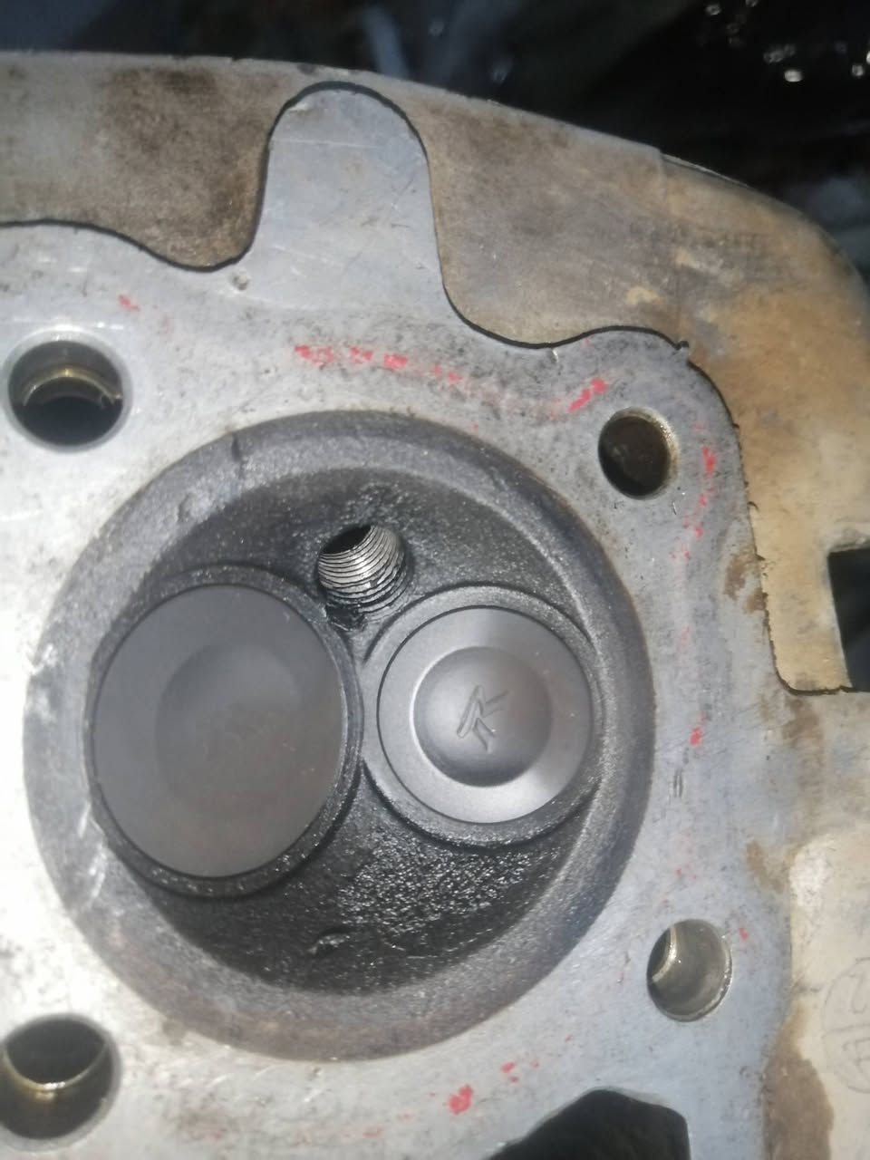 السلام عليكم غراض للبيع كورات اصلي مال تفصيخ شرط الفصلة سعر الواحد 25قفل دبلات نامة مسعملات 10ايام السعر25قفل *********** مكاني بعقوبة
