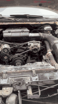 كابرس دولفين • محرك ٣٠٥ جديد • رقم بصره