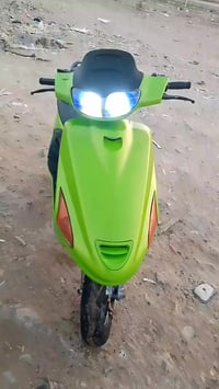 فحل لبيع كفاله عمه  07814981372 سعر 475 عجبك خابر مايعجبك طلع كبل