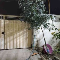 كوفه علوة الفحل • ١٠٠م • ماء كهرباء مولدة