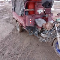 ستوته • موديل 12 • أوراق كاملة