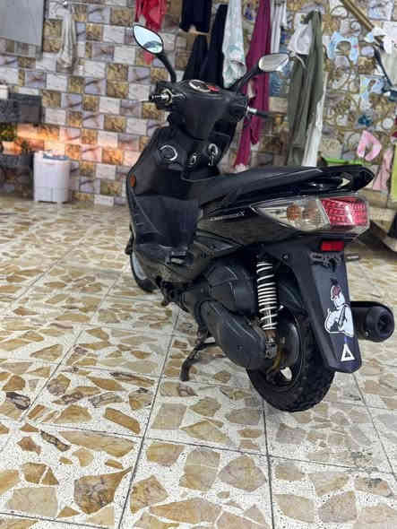 السلام عليكم سكنس فحل حديث وارد ياباني نوزل خطين جديده مال رمبه ماشيه 25 مكفوله كفاله عامه برغي ممفتوح بيه. كفرات اصليه ختم واحد شلعه معدل تشك الكاع اوراقه كامله مال جناي السعر750 الهاتف ***********‬ العنوان بغداد  اتصل وبيك وخير ودلل
