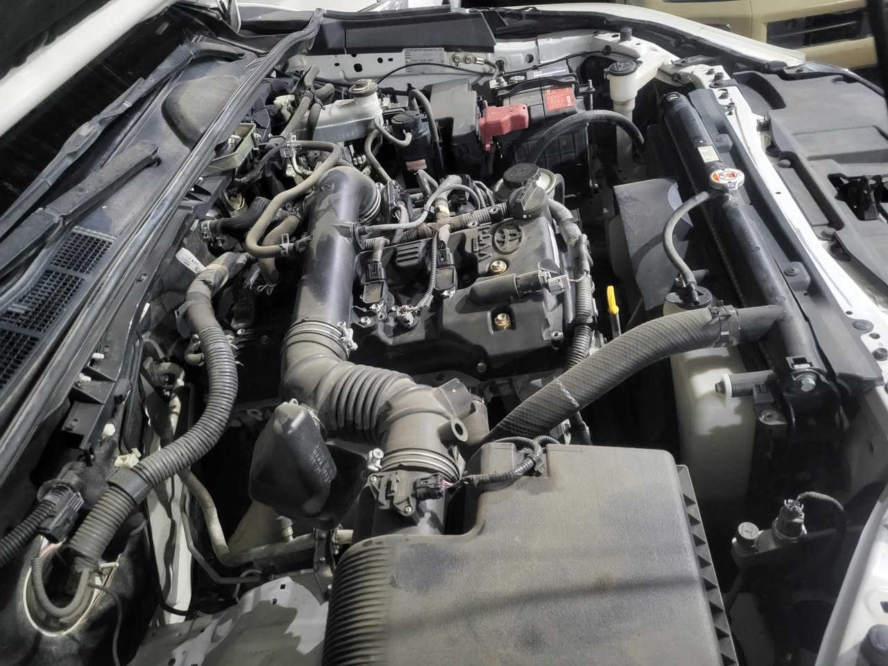 وباننقص في السعر اهم شي زبون صادق السيارة بضاعه


**إذا كنت صاحب هذا الإعلان وتريد حذفه لأي سبب، رجاءا أرسل رسالة إلى الدعم الفني**