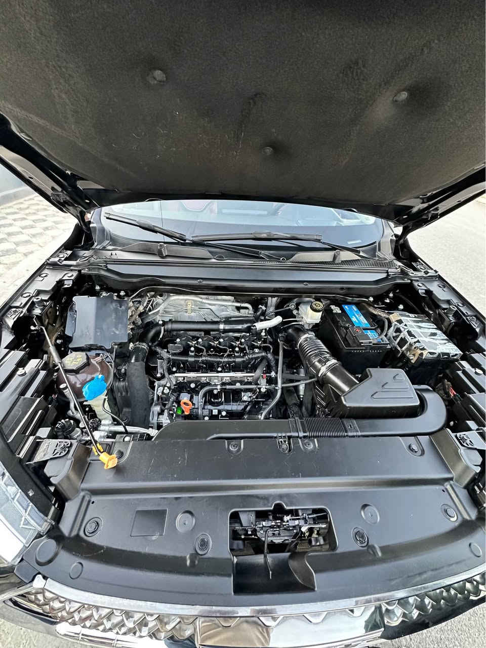 Haval Julion ‎2022 هاڤال جۆلیۆن مودیل
‎فول مواسەفات پانۆراما رادار و داتاشۆ سوكان فوليوم خەتی جادە بەسمە و بریک بەسمە لایت بک لایت لید کامیرە ٣٦٠ یە
  بۆیاغ 3 پارچەی پەمپە بێ ژۆرێ بێ ایرباگ پێش و پشت کەپسە‎ دەرگا و چاملغی پێش و دواوە
بەناوی خۆمە سعر 113 وەرەقە و مجال 
واتساب *********** 
Haval Julion ‎2022 هاڤال جۆلیۆن مودیل
‎فول مواسفات فتحە بانوراما رادار بصمە 5 کامیرات کوشن جلد داتاشو  کوشن جلد کهرباء
سيارة بیها 3 قطع بس مرشوشە باب جاملغین سکن بدون دواخل كله بشرط رقم اربیل و باسمي سعر 113 ورقە ومجال *********** واتساب أربيل, العراق

