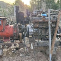 مولده شغاله • راس توليد ٢٠٠ • راس توليد ١٥