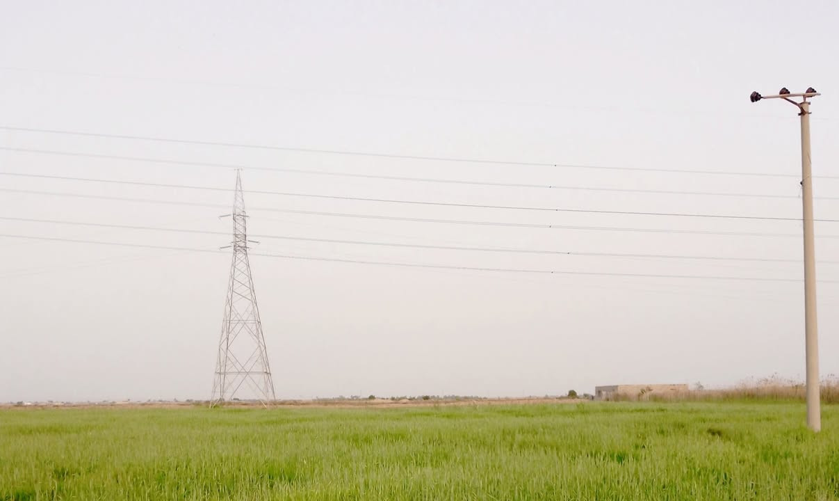 سلام عليكم خوان مكلف بل نشر زرع للبيع قرب فرع العيلة سبع كبايل الاستفسار ‏‪***********‬‏
