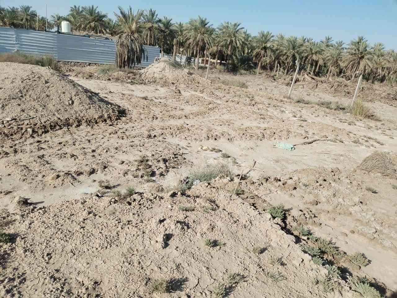 السلام عليكم قطعه للبيع ا طابو زراعي سهم بلبلديه يسجل بأسمك المساحه 350 تقريبا الواجهه 11 وربع. ولنزال 27 متر   بضهر الشموع مباشر من جهه الشط لاستفسار اكثر على الخاص. او لاتصال على الرقم ***********
