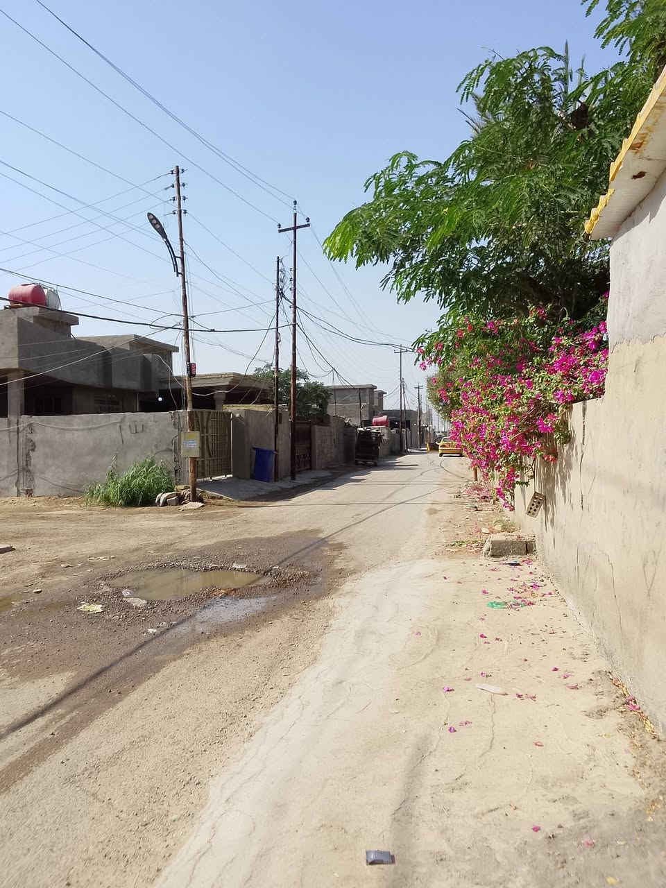 قطع للبيع البوعيثه مقابيل مستوصف دجله طابو زراعيه ٢٥على بغداد بسمي 
105م ٣٧مليون 
١٥٥م ٥٥مليون
٢١٠م ٧٧مليون 
،***********
