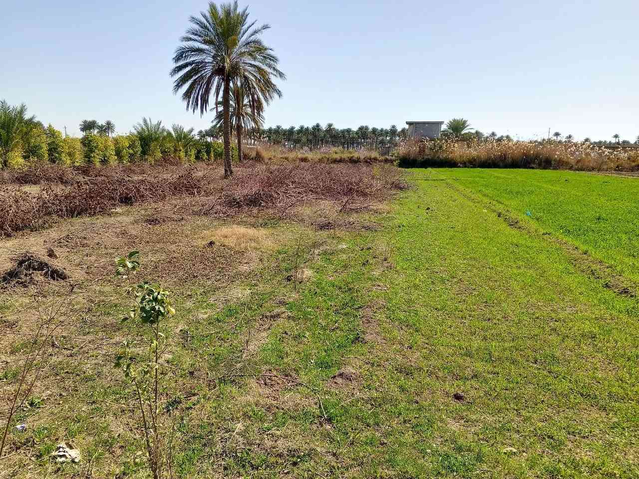 للبيع

دونم واجهيه 28نزال 89مي وكهرباء وتبليط  ب اسم صاحب الأرض تفاصيل اكثر اتصل ع الرقم 
*********** 
 المكان صقلاويه
