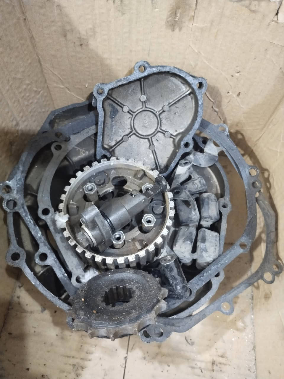 السلام عليكم شباب غراض كاوسكي+فوراي شمحتاج من هذن صور دزلي خاص واني طيك سعر واني خادم مكاني ميسان توصيل موجود جميع محافضات رقم ***********
