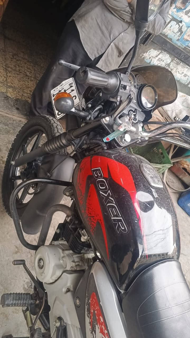 يالله
بوكسر جبلي للبيع موديل 23نزول 24 مرقم كامل لوحه وسنويه نكليزي مكفوله كفاله عامه ماشيه 14 الف جيب فيتر وفحص مكاني بغداد 
***********متواجد وتساب
