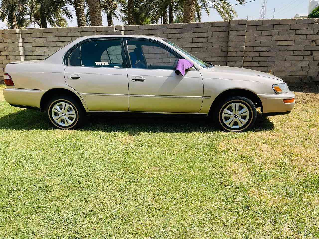 للبيع سعر 55 بي مجال مكاني ناصريه غراف ***********
رقم انكليزي بسمي لل30
