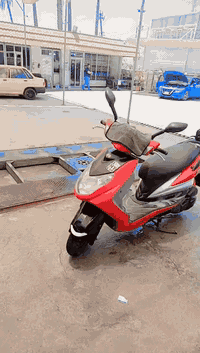 سكنس فحل (رمبه) صالها ٢٣يوم من نازله دراجه ميحتاج اسوالف عنها (كفاله)ع...