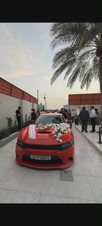 جلد اسود • ختم GT • تبريد وتدفئة